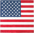 Luwint American Flag Bandana USA Patriotic Headband, Square USA Flag Scarf - Hair Wrapping Neck Head Face Scarves for Men Women, 21”x21”...