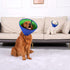 Dog Cone,Soft Dog Cone After Surgery,Adjustable Breathable Dog Cone Collar,Soft Dog Cones for Large Medium Small Dog,Protect Pets from Licking Wou...