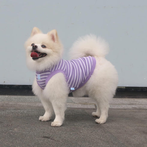 Classic Striped Teacup Pet Dog T-Shirts, 100% Cotton Tank Vest for Small Dogs, Sleeveless Puppy Clothes for Chihuahua Yorkie Purple, Small...
