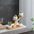 Window Sill Plant Shelf?Desk Desktop Bamboo Plant Stand?Table Succulent Plant Stand for Home, Office, Living Room, Bedroom Decoration...