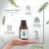 HBNO® California Bottled Organic Rosemary Essential Oil 1 fl oz (30ml) - USDA Certified Organic Rosemary Essential Oil for Aromatherapy, Soap Maki...