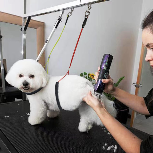 Pet Grooming Loops Dog Grooming Supplies, Pet Belly Loop Restraint No Sit Haunch Holder for Pet Dog Grooming Arm and Table, Stainless Steel Sturdy...