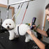 Pet Grooming Loops Dog Grooming Supplies, Pet Belly Loop Restraint No Sit Haunch Holder for Pet Dog Grooming Arm and Table, Stainless Steel Sturdy...