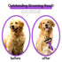 Pet Grooming Brush and Metal Comb Double Sided Long Hair Pet Undercoat Cleaner Undercoat Rake for Dogs and Cats Removes Mats and Lint Effectively ...