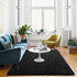 ISEAU Ultra Soft Fluffy Rug for Bedroom, 3 x 5 Feet Shaggy Area Rugs for Living Room Fuzzy Carpet Comfy Nursery Mat Bedside Carpets for Kids Boys ...
