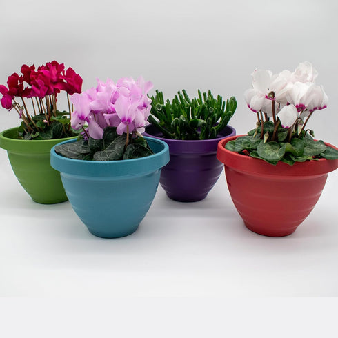 The HC Companies 10 Inch Rings Planter with Self Watering Disk - Lightweight Indoor Outdoor Plastic Plant Pot for Herbs and Flowers, Blue...