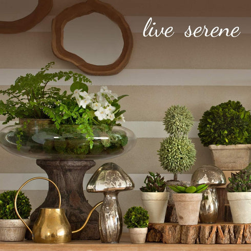 Serene Spaces Living Classic Clear Glass Cube Vase, Floral Centerpiece or Candle Holder, 3" Cube...