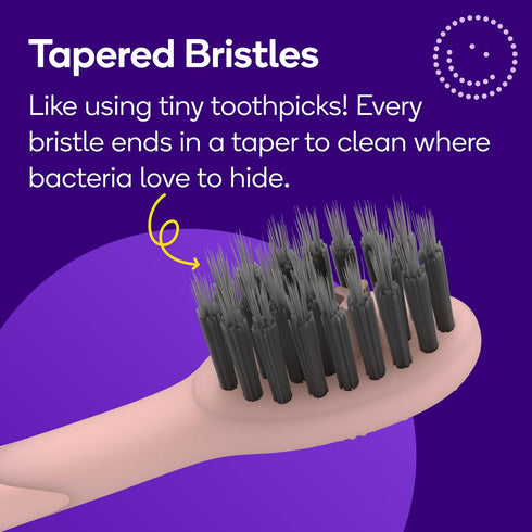 BURST Genuine Replacement Heads for Original Sonic Electric Toothbrush (Rose Gold/3 Pack) | Ultra Soft Bristles for a Deep Clean | Stain & Plaque ...