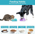 2PCS Licking Mat for Dogs with Suction Cups, Premium Lick Pad for Anxiety Relief, Slow Feeder Dog Bowls, Perfect for Bathing, Grooming and Trainin...