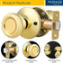 home improvement direct Passage Door Knobs for Hallway and Closet Door, Keyless Non-Locking Interior Door Knob Handle in Polished Brass...