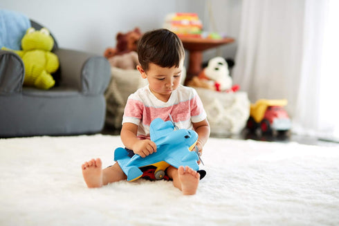 Green Toys Blue Cargo Plane, 1 EA, Bule...