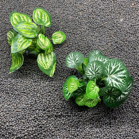 Smoothedo-Pets Aquarium Plants Betta Fish Tank Decorations 4inch/2pcs Soft Silk Artificial Plant Goldfish Waterscape Fish Hides Snake Tank/Reptile...