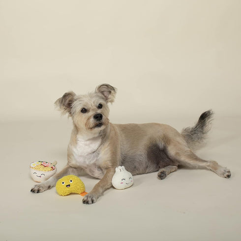 Fringe Studio Plush Dog Toy Set, SOY INTO You, 3 Piece Set, for Small Dogs (289517)...