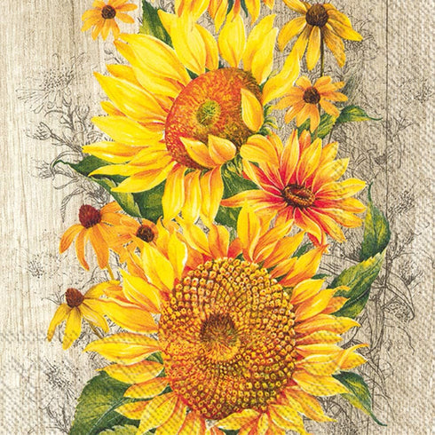 IHR Ideal Home Range Cocktail Napkins Disposable 3-Ply Paper Party Napkin Pack, 5" x 5", Le Tournesol (Light Brown), 20-Count...