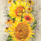 IHR Ideal Home Range Cocktail Napkins Disposable 3-Ply Paper Party Napkin Pack, 5" x 5", Le Tournesol (Light Brown), 20-Count...