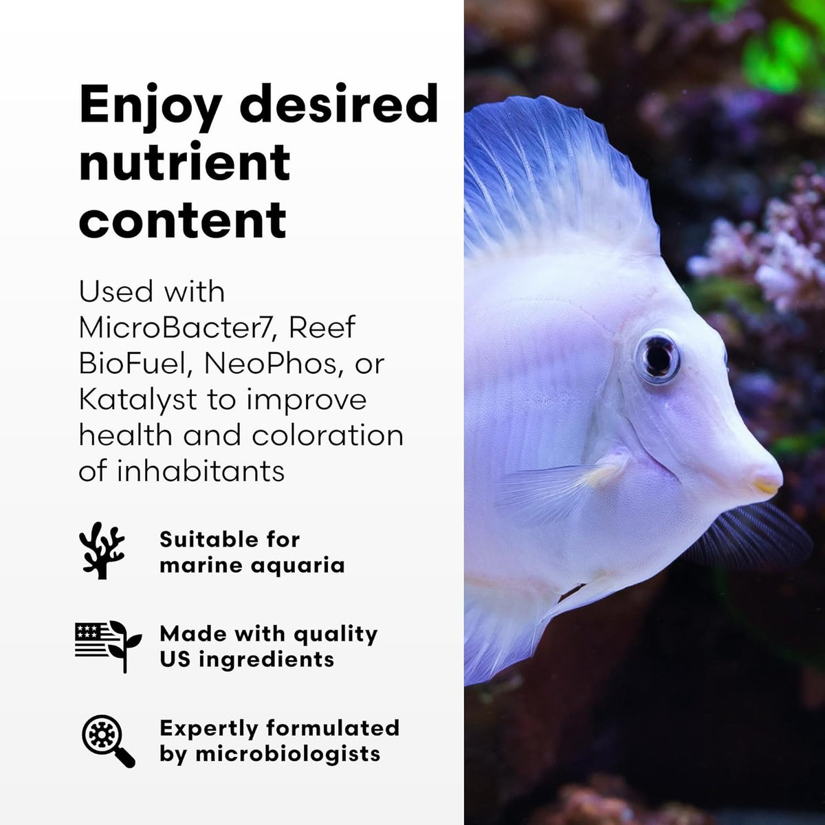 View of Brightwell Aquatics NeoNitro Balanced Nitrogen Supplement - Reef ...