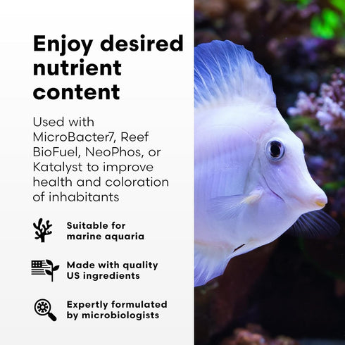 Brightwell Aquatics NeoNitro Balanced Nitrogen Supplement - Reef Nutrient Enhancer for Ultra-Low Nutrient Systems - Aquarium Water Treatments, 16....