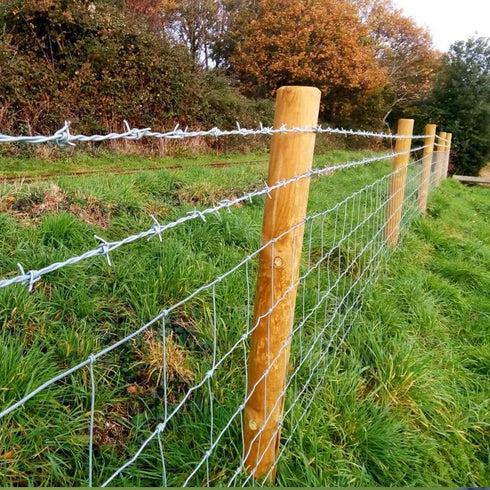 4 Point Barbed Wire, 18 Gauge Real Barb Wire Roll 20 Feet Barbwire for Fence, Baseball Bat, Bird Feeder, Garden & Crafts...