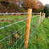 4 Point Barbed Wire, 18 Gauge Real Barb Wire Roll 20 Feet Barbwire for Fence, Baseball Bat, Bird Feeder, Garden & Crafts...
