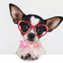 Lionheart glory Valentine's Day Dog Collar with Flower Dog Collar for Large Dogs, Pink Dog Collar with Bowtie Spring Dog Collar Pet Collar flowers...