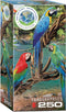 Macaws...