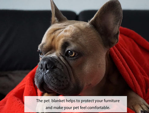 Soft Puppy Flannel Fleece Blanket for Pet Dog Cat, Plush Microfiber, Cozy and Lightweight, Light Yellow, Pet, 27 x 39 inch (70 x 100 cm)...