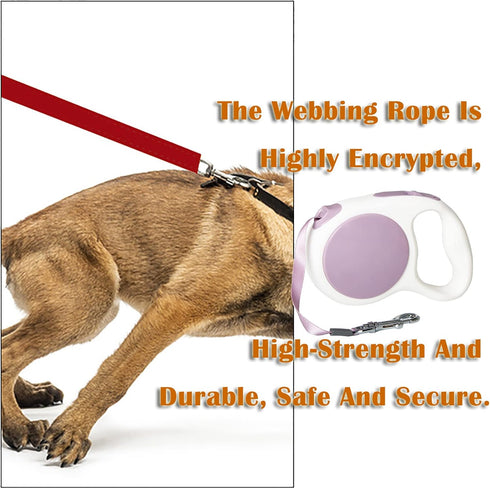 Lavender Purple Retractable Dog Leash 10 ft for Small and Medium Dogs and Cats, One Button Brake, Pause, Lock by LFCXHTY...