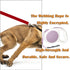 Lavender Purple Retractable Dog Leash 10 ft for Small and Medium Dogs and Cats, One Button Brake, Pause, Lock by LFCXHTY...