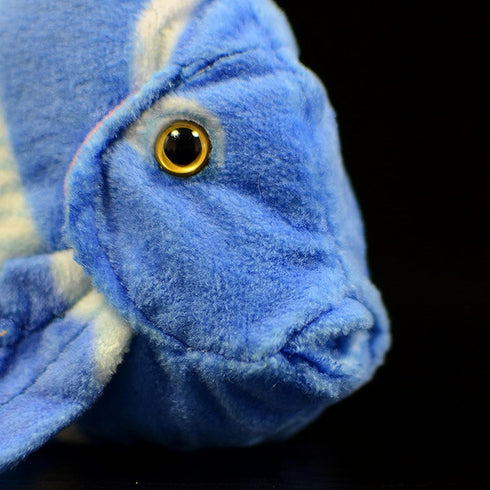 ZHONGXIN MADE Super Cute Tropical Fish Atlantic Plush Toy - 7 inch Simulation Deep Sea Acanthurus Coeruleus Blue Hanging Spiny Fish Stuffed Animal...