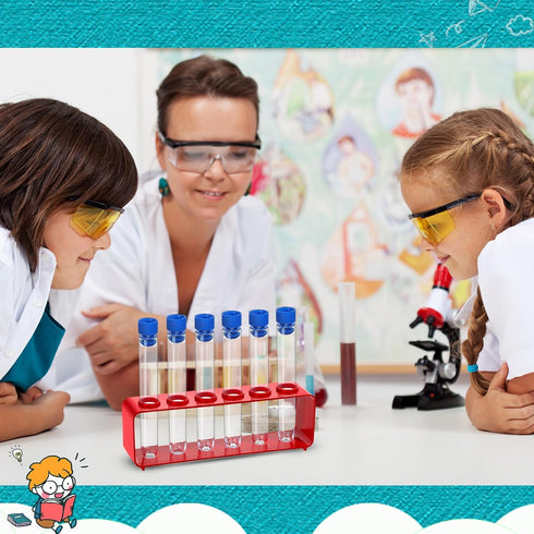 2 Sets Test Tubes with Rack Clear Plastic Test Tubes with Caps and 6 Holes Holder Rack Nurse Party Decorations Shot Tubes for Scientific Experimen...