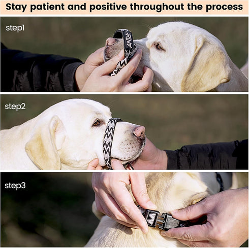 ANDA Gentle Leader Ultra-Light No-Pull Dog Headcollar: Adjustable, Breathable Comfort, Prevents Explosive Rushes, Ideal for Daily Use (Medium Size...