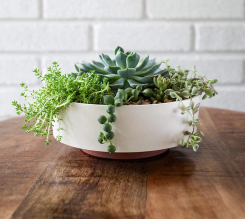 The HC Companies 8 Inch Round Capri Succulent Pot - Decorative Indoor Plastic Planter with Drainage, Vanilla Bisque...