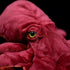 ZHONGXIN MADE Simulation Octopus Plush Toy -Red Soft Real Life Octopus Stuffed Animal Toys, Lifelike Deep Sea Creeping Animal Octopuses Plush Toys...