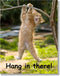 Hang in There Cat Poster - Printed on Premium Cardstock Paper - Sized 11 x 14 Inch - Perfect Funny Motivational Poster For Home or Office - Humoro...