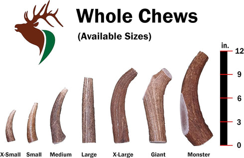 X Small Whole Twin Pack (for 0-15 lb Dogs and Puppies) Premium Grade Elk Antlers for Dogs (2 Pieces) Sourced in The USA...