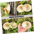 4pcs Children's Percussion Instrument Mini Cymbals Mini Hand Bells Small Cymbals Kids Mini Cymbal Brass Cymbals Copper Cymbals Hand Cymbals Toys M...