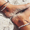 Xerling Seashell Anklet Natural Cowrie Shell Ankle Bracelet Beach Barefoot Chain for Women Girls Layered Sandals Bracelet Summer...