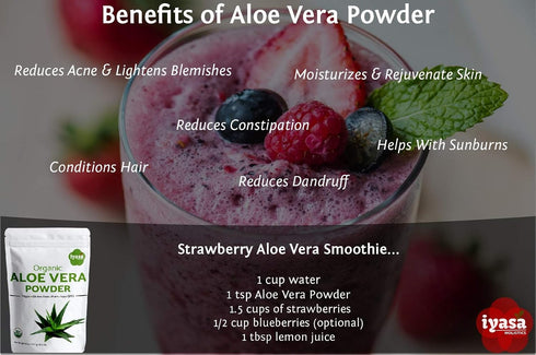 Organic Aloe Vera Leaf Powder, Bulk Pack of 16 oz/453 gram, Aloe Barbadensis, Herbal Cosmetics, Natural Hair & Skincare, Moisturizer, Superfood,Re...
