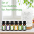 Earnest Living Tea Tree Oil Peppermint Oil Lavender Oil Essential Oil Set for Diffusers for Home Oil Diffuser Essential Oils Eucalyptus Essential ...