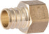 SharkBite 3/4 x 1/2 Inch FNPT Crimp Connector, Brass Plumbing Fitting, PEX Pipe, PE-RT, UC092LFA...