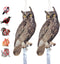Fake Owl Decoy to Scare Birds, 2Pack Reflective Birds Deterrent Owl Bird Scarer Dual-Side Printed Owl for Farms, Orchards, Gardens, Window...