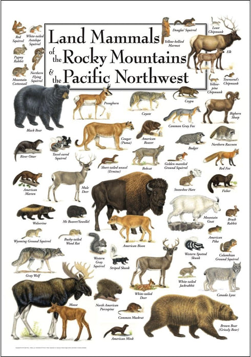 Earth Sky + Water Poster - Land Mammals of the Rocky Mountains & the Pacific Northwest...