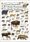 Earth Sky + Water Poster - Land Mammals of the Rocky Mountains & the Pacific Northwest...