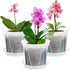 Plant Pots 7 inch Set of 3, Clear Plastic Nursery Pots with Drainage Holes and Saucers, Seedling Pots Seed Starter Pots Planter Pots for Indoor Ou...
