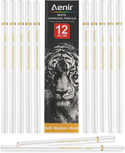 White Charcoal Pencils, Pack of 12 Charcoal Drawing Pencils, Charcoal Pencils for Artists, Art Supplies for Drawing and Highlighting, Charcoal Pen...