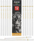 White Charcoal Pencils, Pack of 12 Charcoal Drawing Pencils, Charcoal Pencils for Artists, Art Supplies for Drawing and Highlighting, Charcoal Pen...