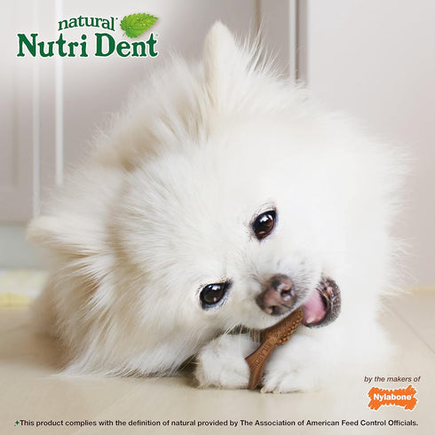 Nylabone Nutri Dent Dog Dental Chews - Natural Dog Teeth Cleaning & Breath Freshener - Dental Treats for Dogs - Filet Mignon Flavor, Mini (32 Coun...