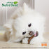 Nylabone Nutri Dent Dog Dental Chews - Natural Dog Teeth Cleaning & Breath Freshener - Dental Treats for Dogs - Filet Mignon Flavor, Mini (32 Coun...