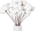 DomeStar 13 Bundles of Cotton Stems, 16.5" Natural Dried Cotton Stalks with Bolls Cotton Blooms Floral Stems for Vase Fillers...