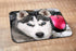 Dog Rectangle Gaming Mousepad Siberian Husky Dog Mouse Pad Mouse Mat for Computer Desk Laptop Office 9.5 X 7.9 Inch Non-Slip Rubber...